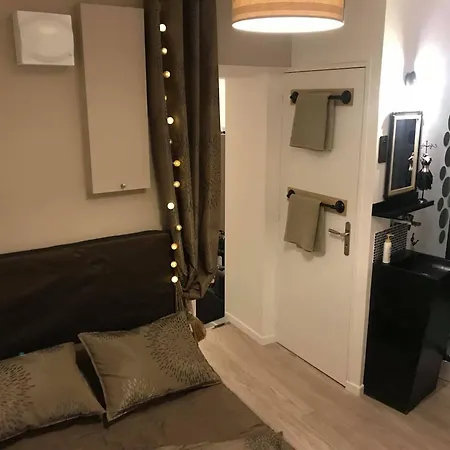 Appartement Au Coeur De Ferrand 30 M² Cheminee *